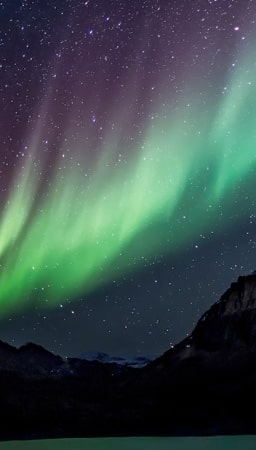 um cartão com a imagem do céu com muitas estrelas abaixo dessas estrelas tem um fenômeno óptico chamado aurora boreal 